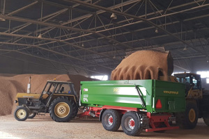 port handlowy kołobrzeg